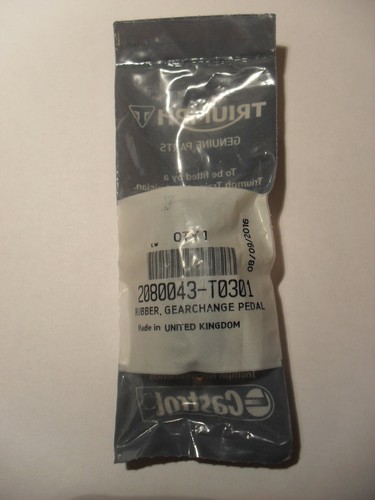 Triumph daytona speed - speed, triple